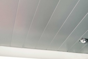 Techos de aluminio